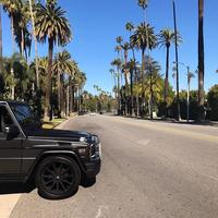 Отзыв от Эльдар - DTV виза